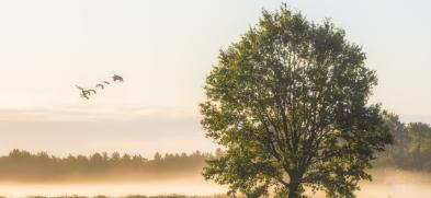 Systemisches Coaching IIA/B